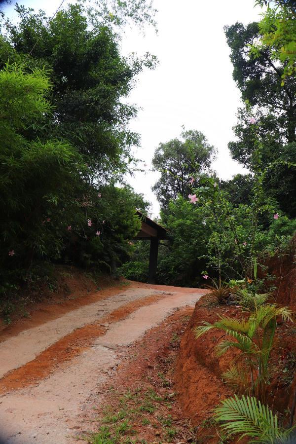 Coorg Nature Breeze Home Stay Мадикери Екстериор снимка
