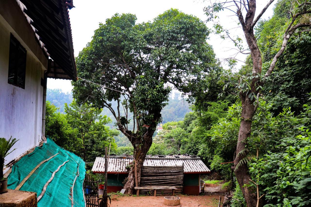 Coorg Nature Breeze Home Stay Мадикери Екстериор снимка