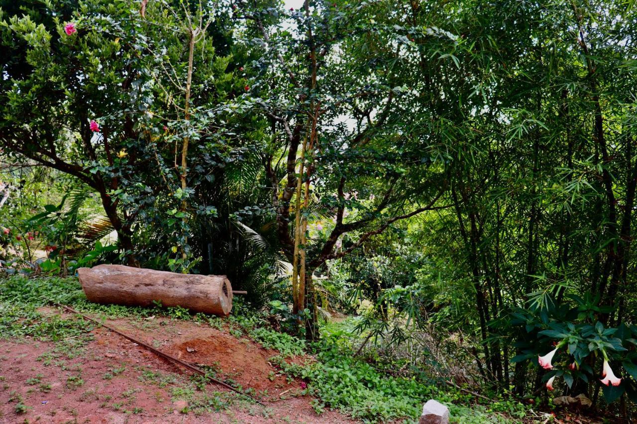 Coorg Nature Breeze Home Stay Мадикери Екстериор снимка